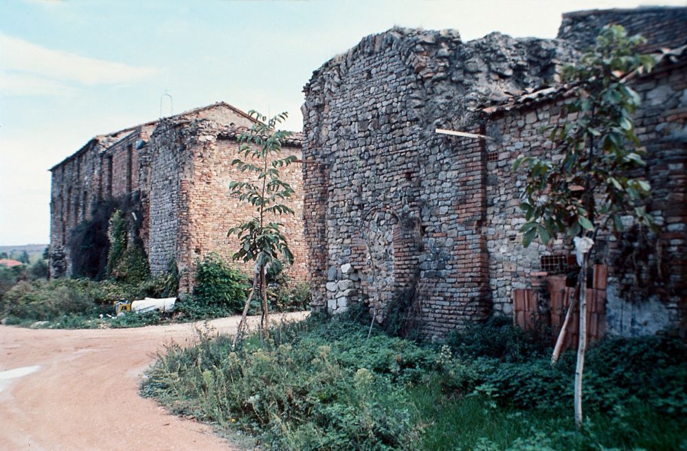 Rovine di San Gregorio, Morciano di Romagna foto di G. Mazzanti